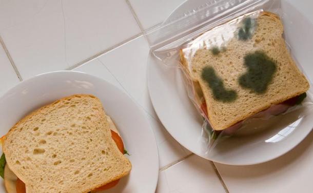 anti-theft lunch bags