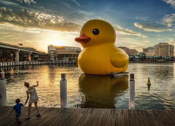 rubber duck 00