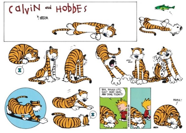calvinandhobbes00