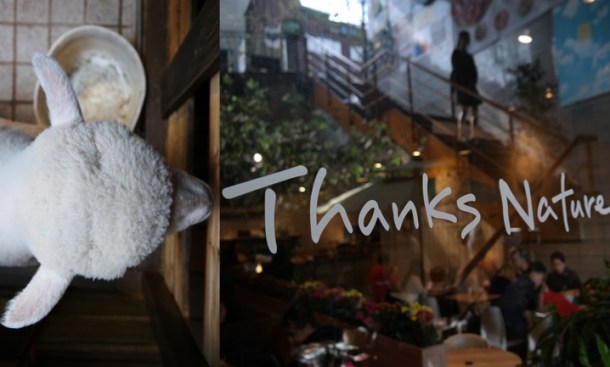 thanksnaturecafe